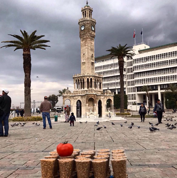 Şu Domatesin Yaptıklarına Bakın