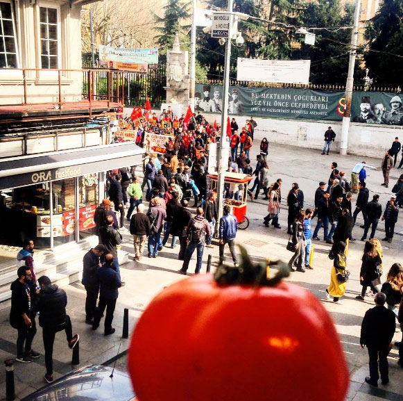 Şu Domatesin Yaptıklarına Bakın