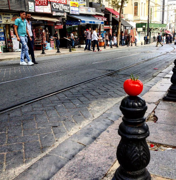 Şu Domatesin Yaptıklarına Bakın