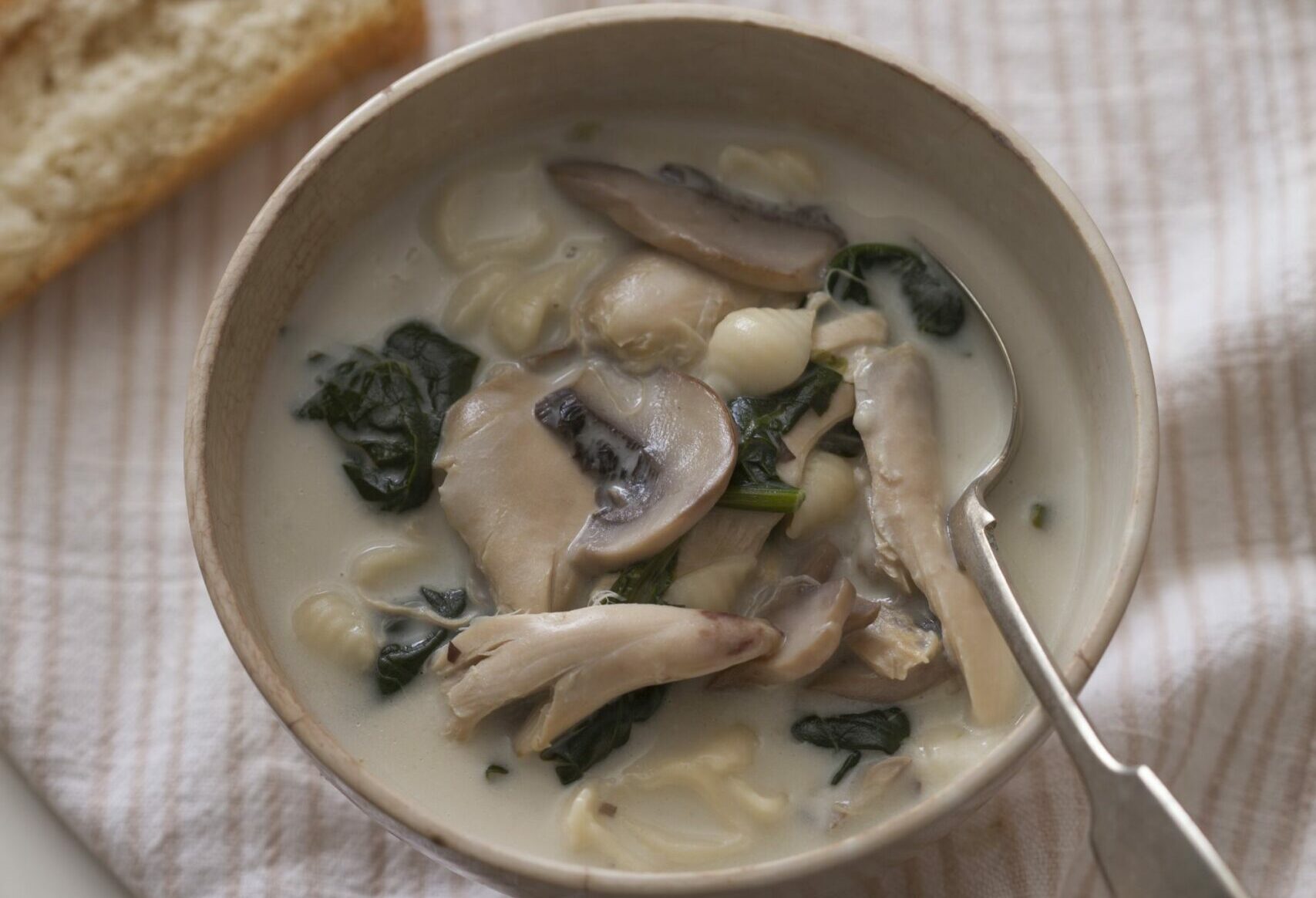 Ispanaklı ve Mantarlı Tavuk Çorbası