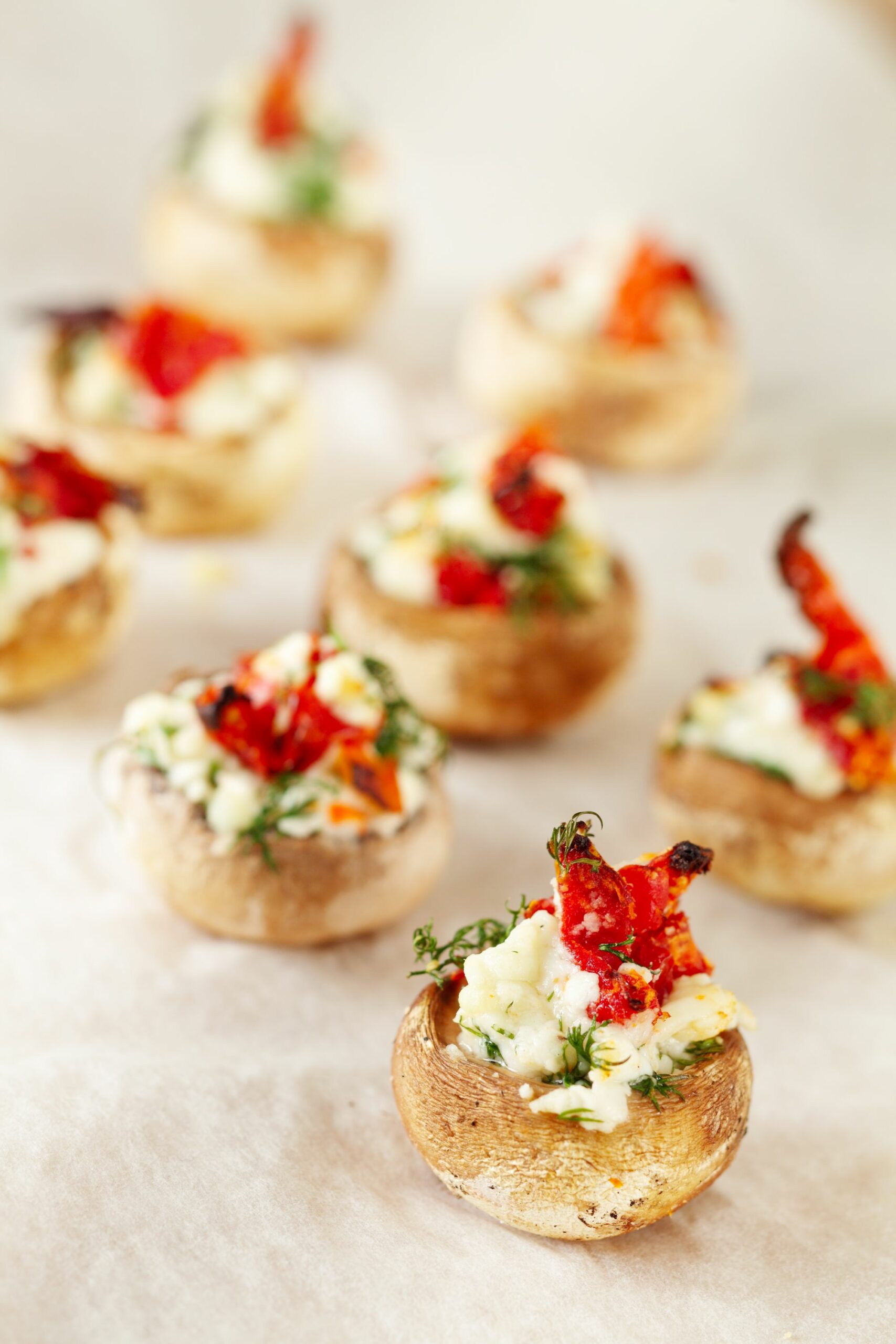 Kurutulmuş Domatesli Mantar Dolma