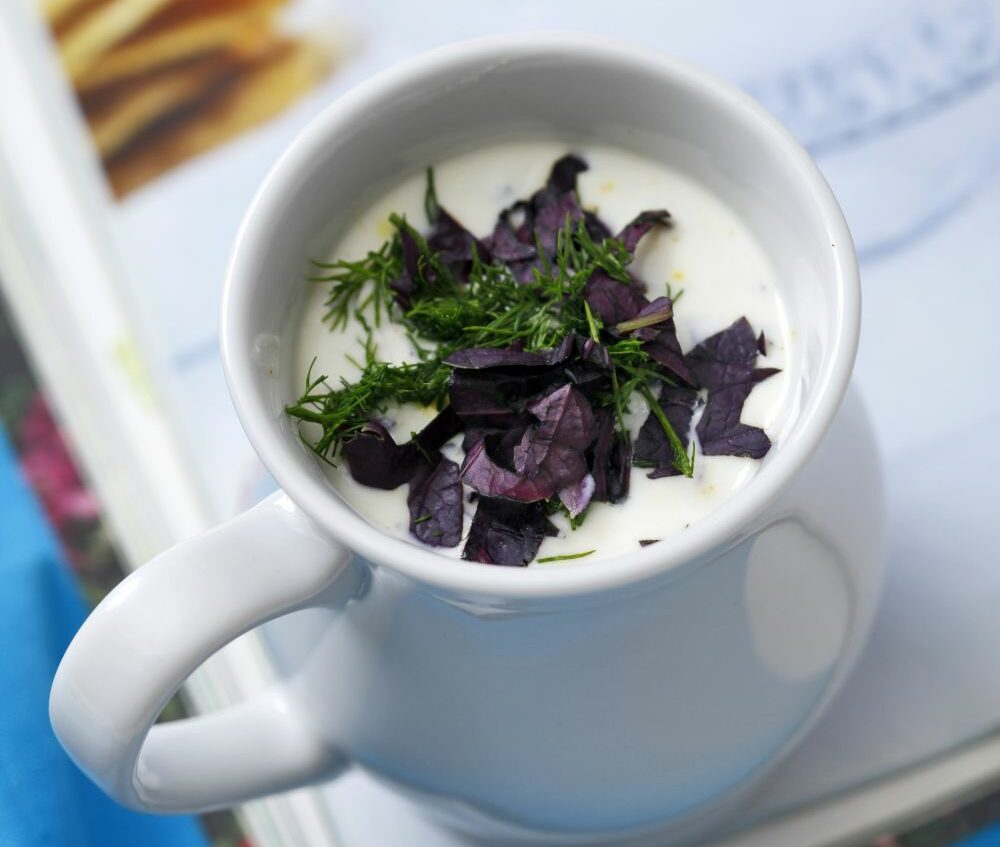 Reyhanlı ve Dereotlu Ayran Aşı