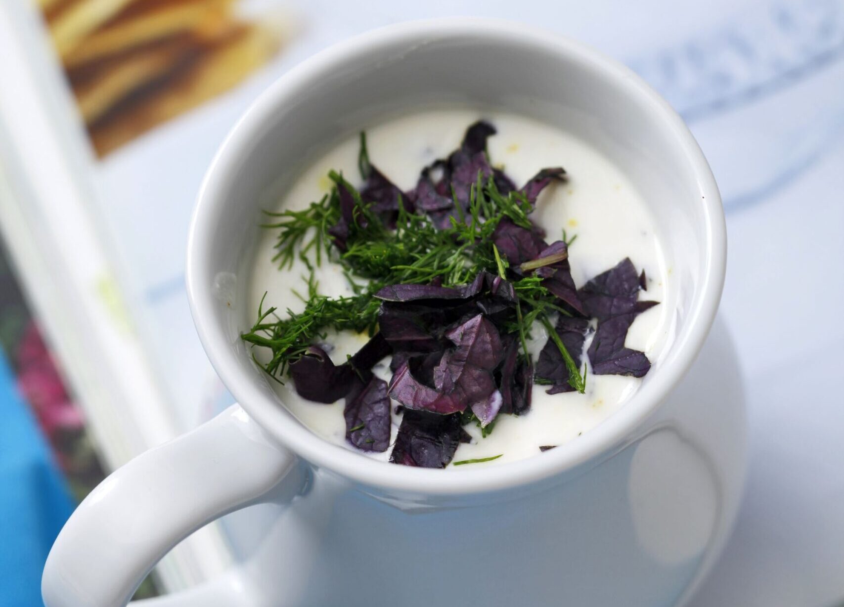 Reyhanlı ve Dereotlu Ayran Aşı