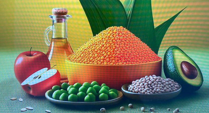 “Multidisipliner Yaklaşımla Doğaya Saygılı Bitki Bazlı Beslenme Rehberi” raflarda!